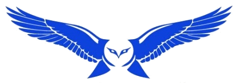 八方航空